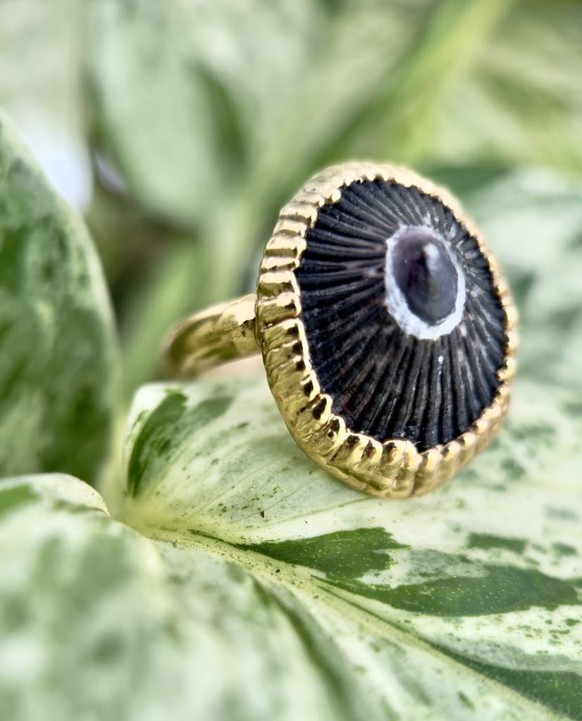 Big Island Opihi Ring
