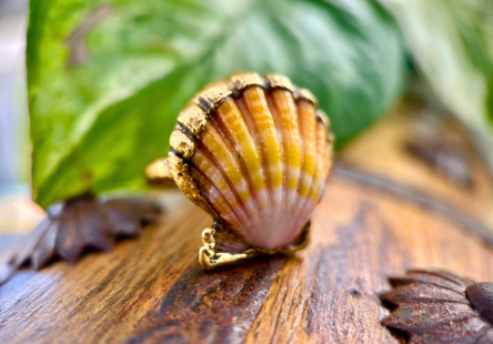 Sunken Sunrise Ring
