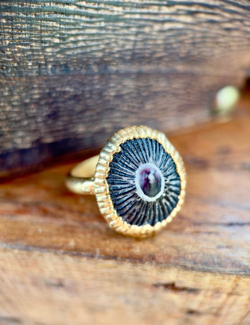 Big Island Opihi Ring