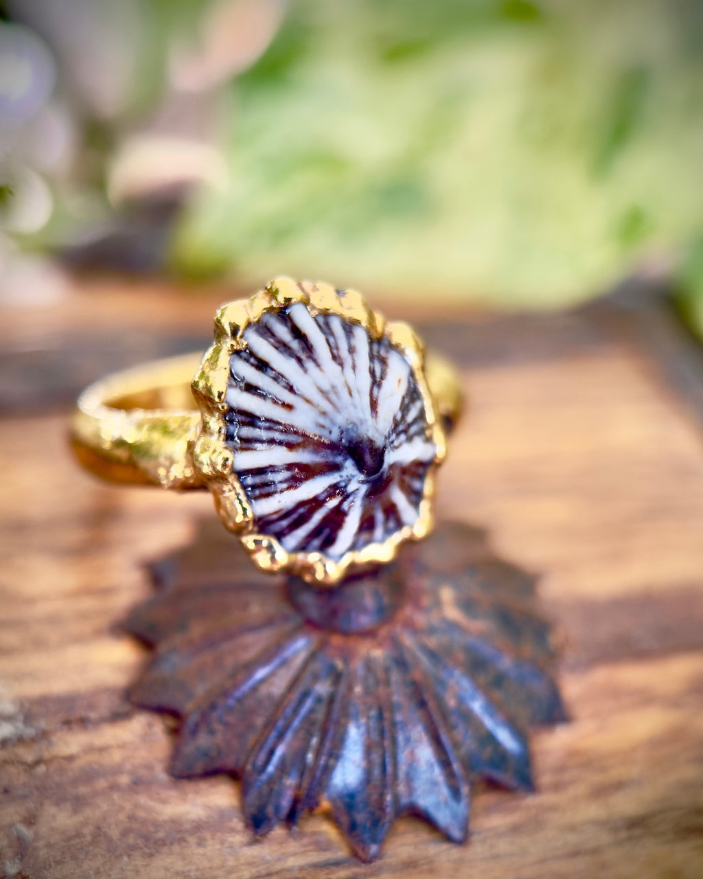 Opihi 'Awa Ring