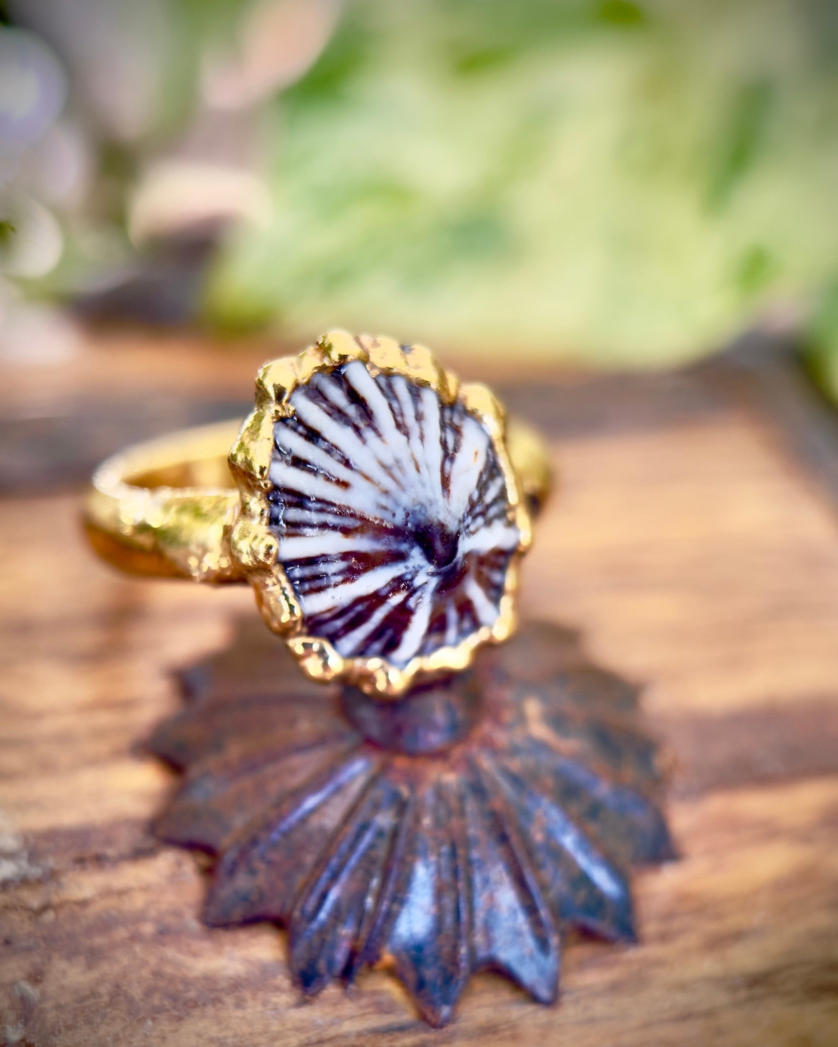 Opihi 'Awa Ring