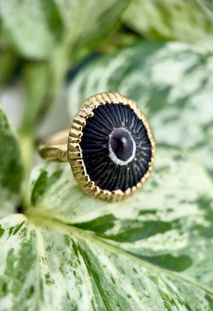 Big Island Opihi Ring