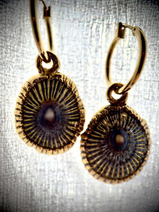 Opihi Earrings