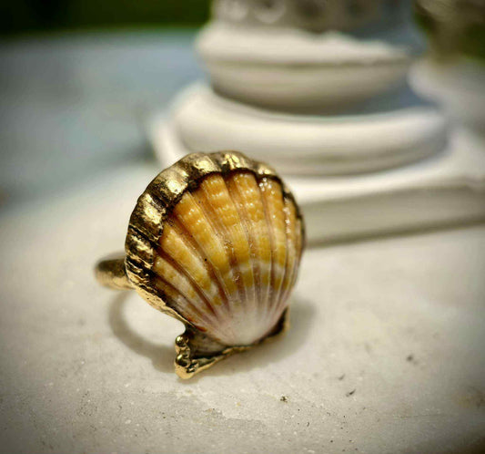 Sunken Sunrise Rings