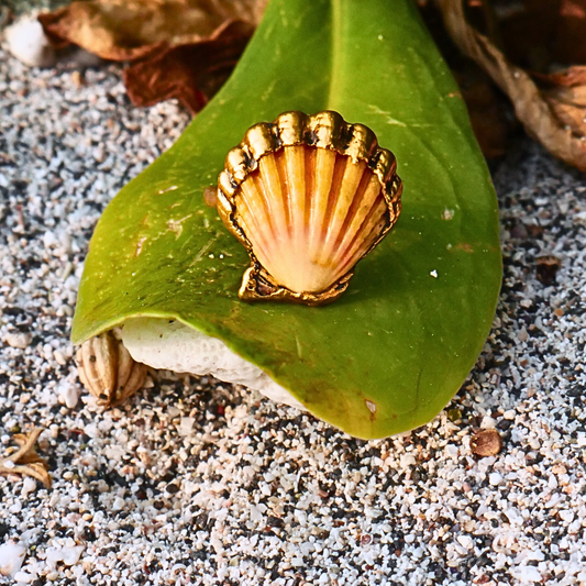 Sunken Sunrise Rings