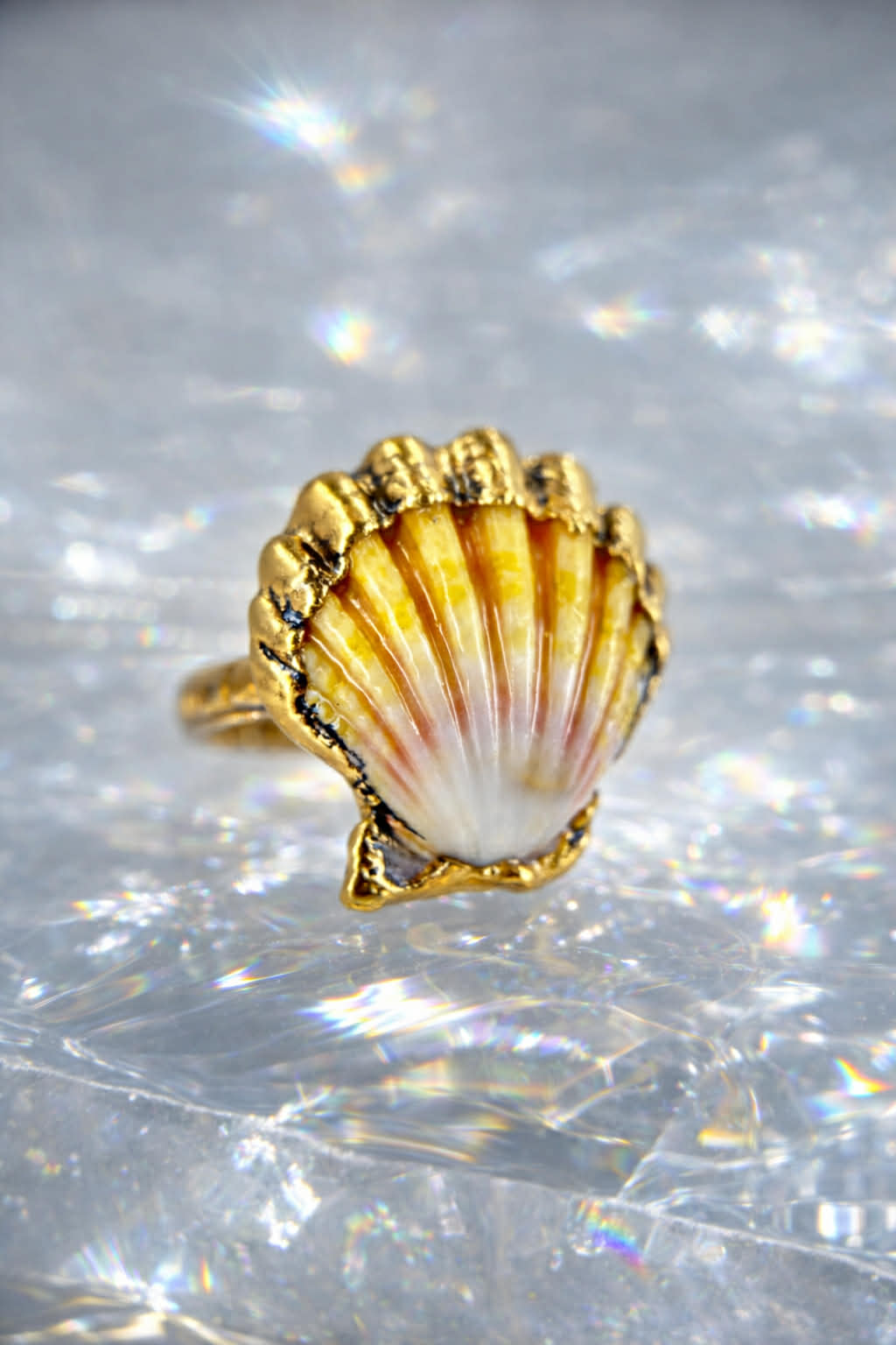 Gold ring with a shell design on a reflective surface
